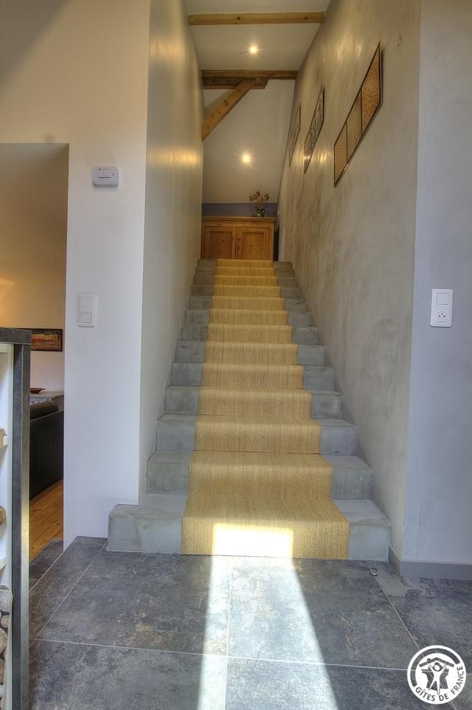 Eine Treppe mit Teppich und Holzboden.
