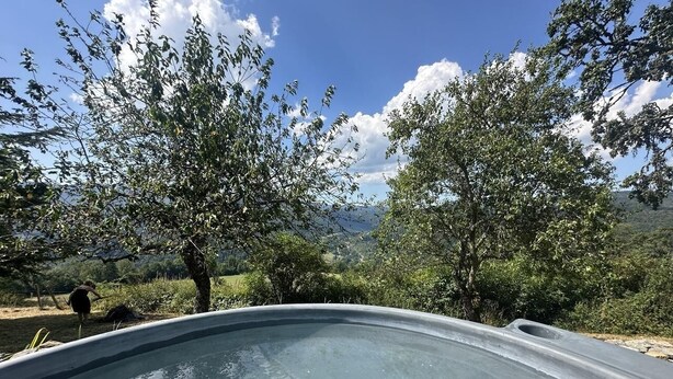 A hot tub in a natural setting with trees and a clear sky.