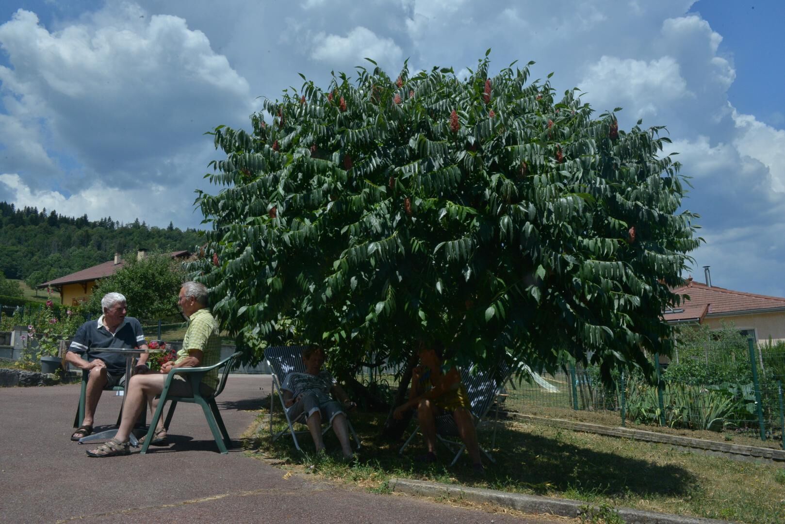 Drie personen zitten onder een grote boom, met een metalen hek op de achtergrond.