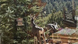 A deer statue in a garden with a wooden fence and a stone wall.