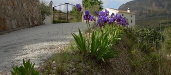 Country House 'Cortijo El Paso' with Mountain View, Private Pool and Private Terrace