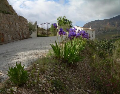 Country House 'Cortijo El Paso' with Mountain View, Private Pool and Private Terrace