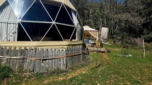 A geodesic dome structure with a wooden deck, surrounded by trees and a clear sky.