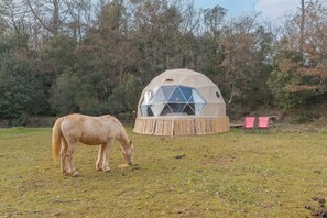 Property grounds - Guest House 'La Cabane Aux Chevaux' with Private Garden (Varages)