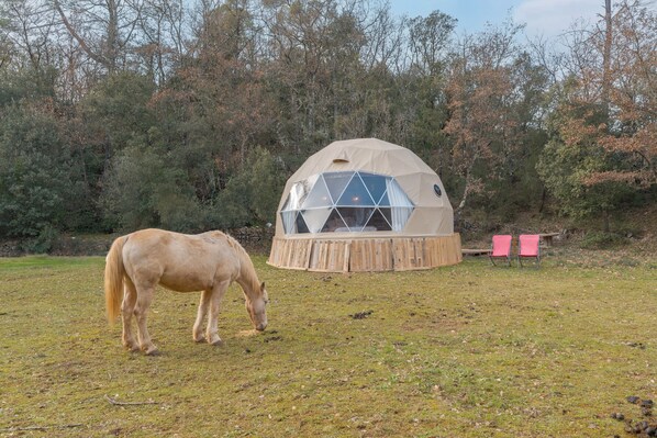 Property grounds - Guesthouse 'La Cabane Aux Chevaux' with Private Garden (Varages)