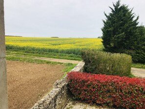 Àrea exterior de l'allotjament