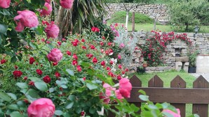 Un giardino con un muro in pietra e una recinzione in legno.