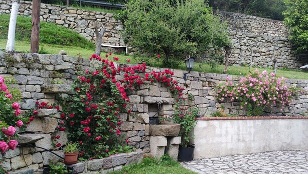 Un muro in pietra con rose rampicanti, una panchina in pietra e un’area salotto esterna rustica.