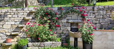 Jardines del alojamiento
