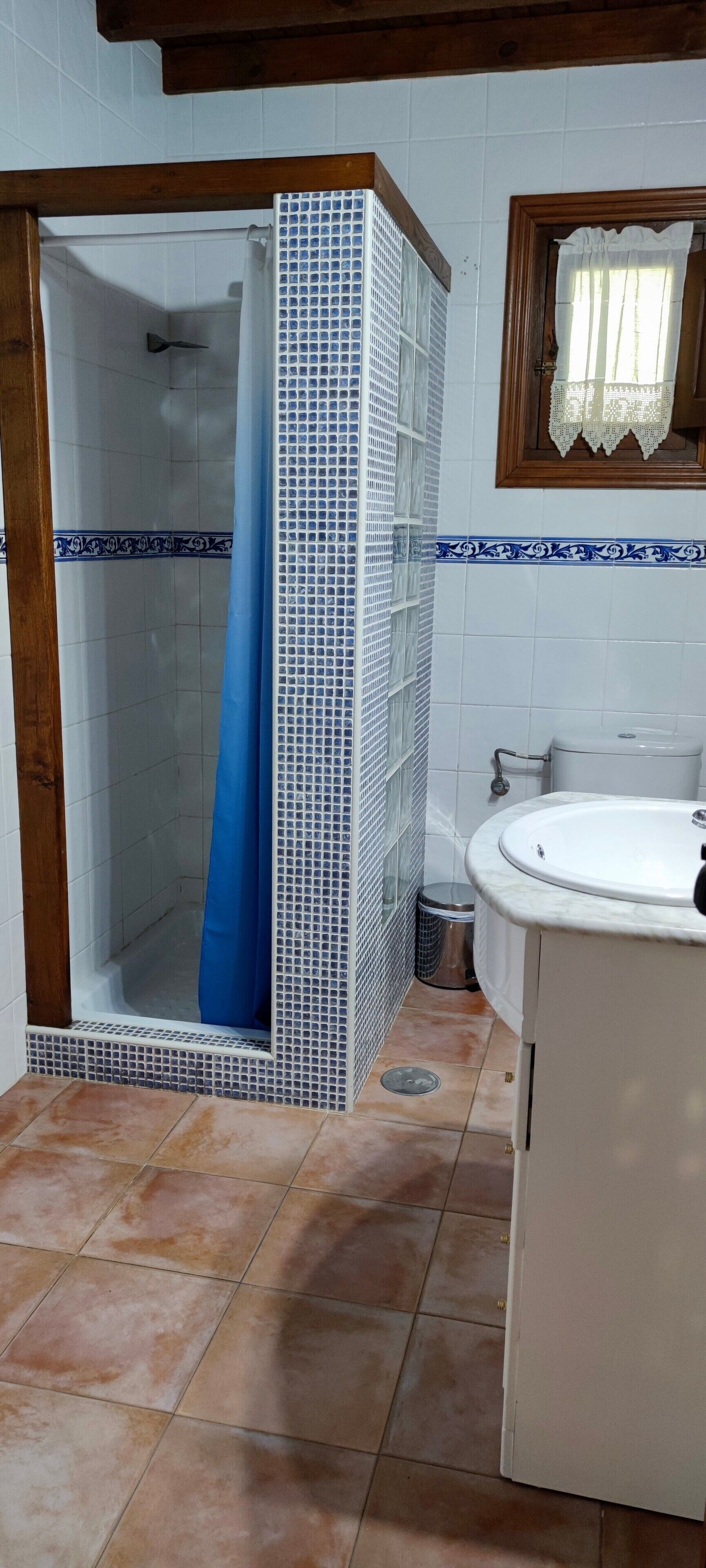Un bagno con doccia, lavandino e WC.