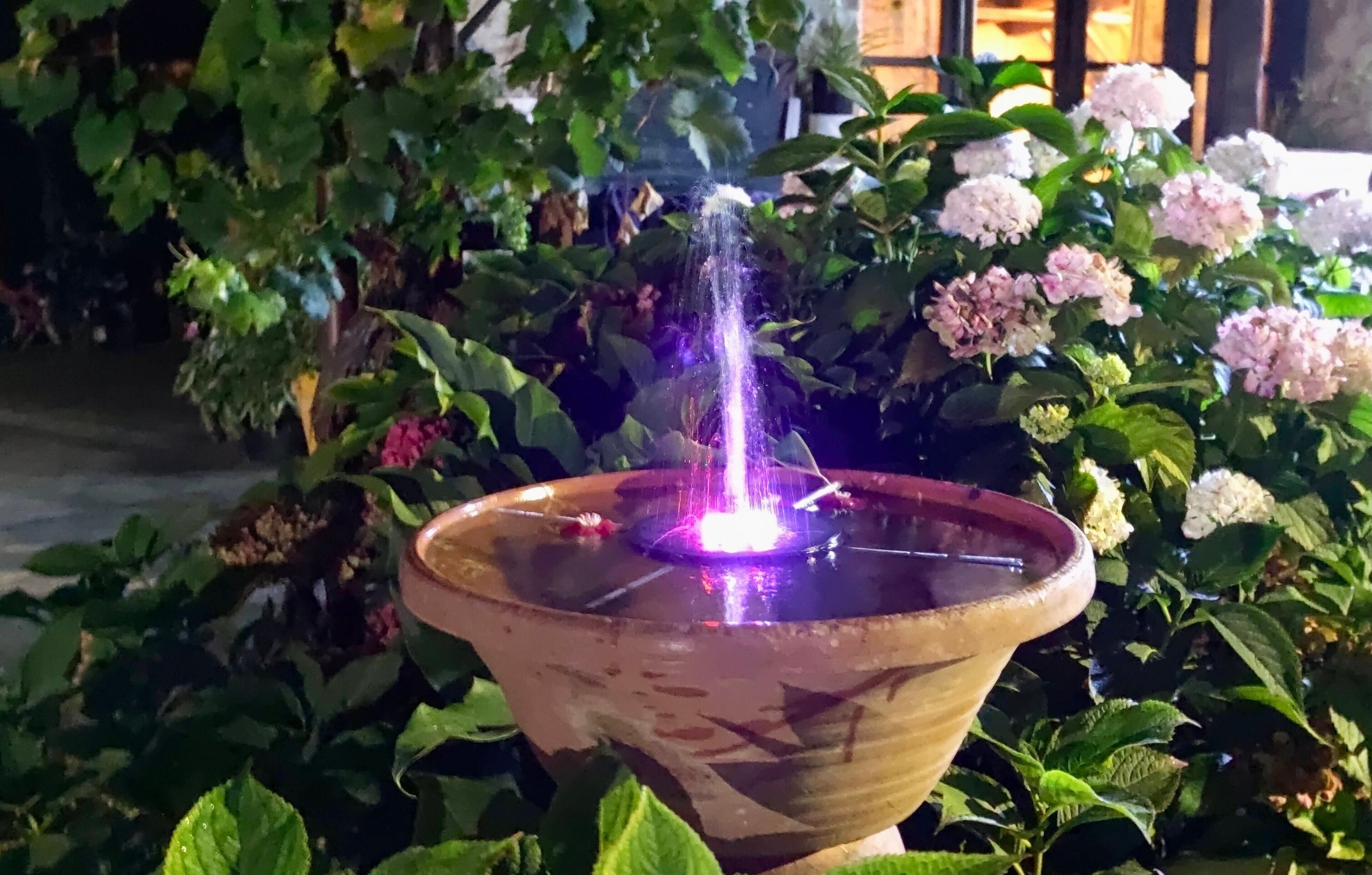 Una font amb aigua que brolla cap amunt, envoltada de vegetació exuberant i plantes florides.