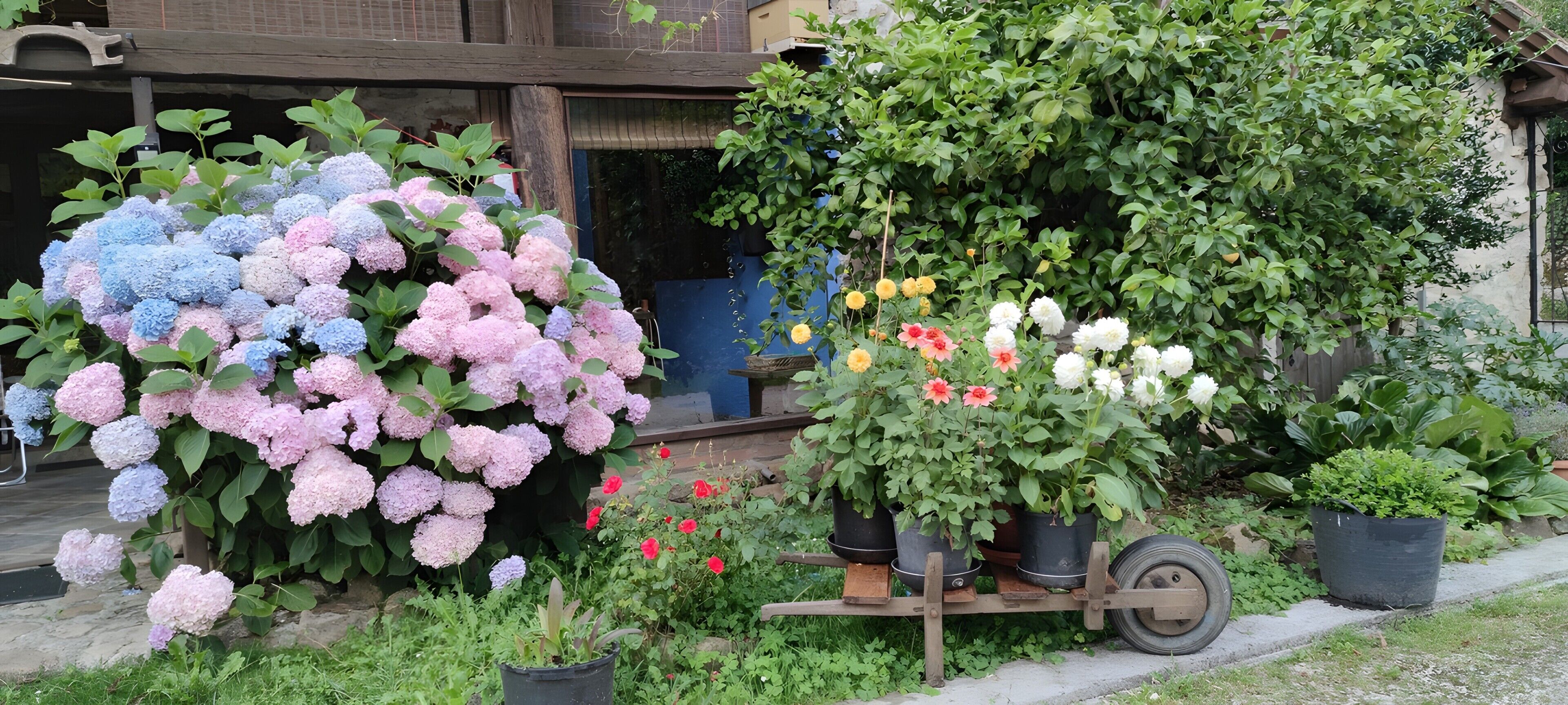 Áreas de la propiedad