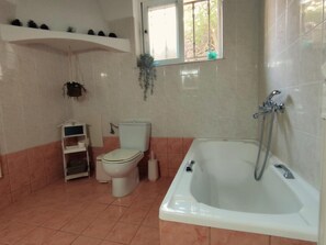 Chuveiro, secador de cabelo, toalhas de banho 