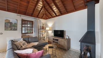 Een televisie en een open haard