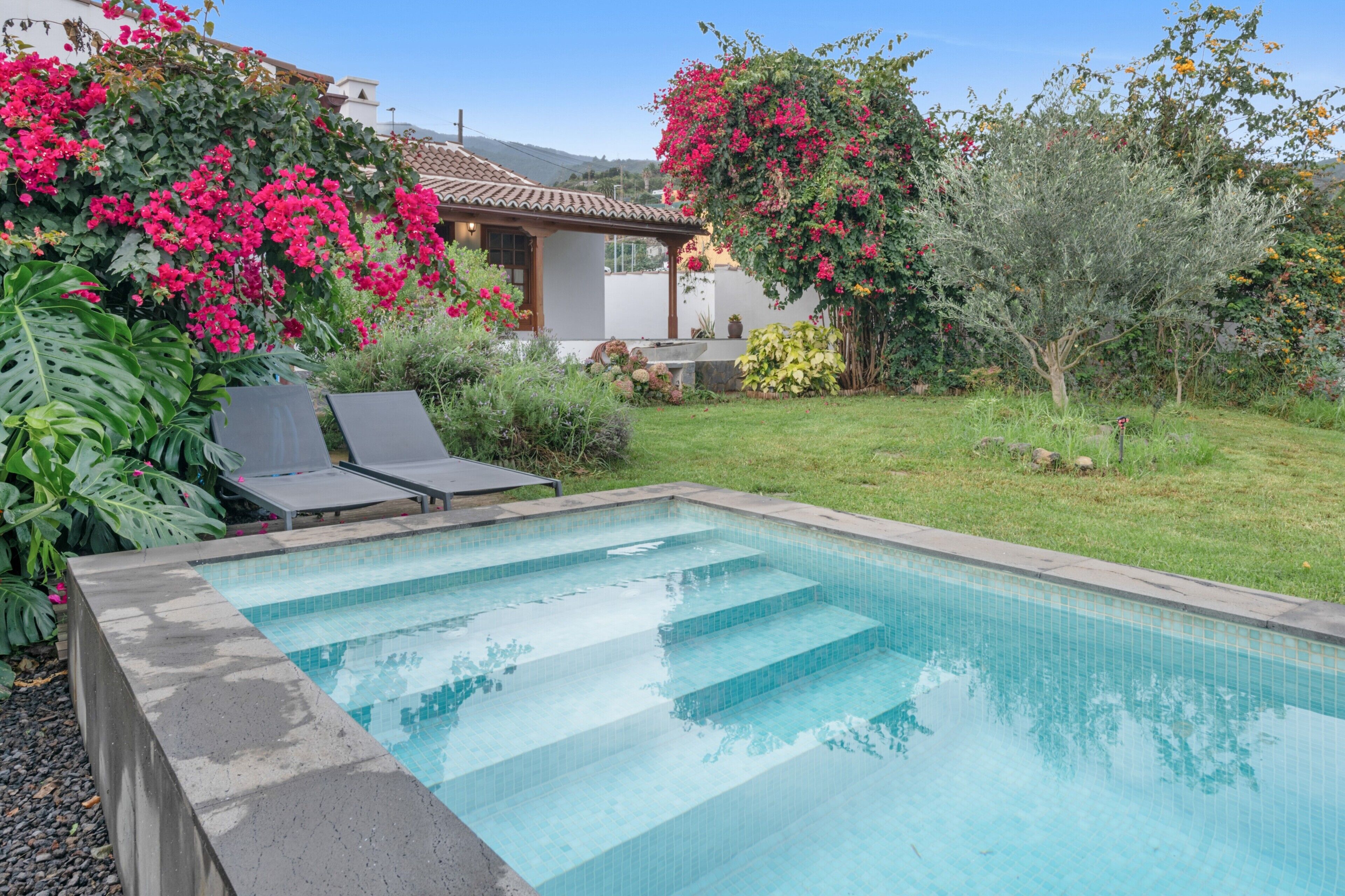 Una piscina con escalones, rodeada de exuberante follaje y plantas en flor.
