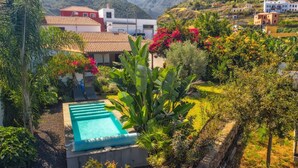 Un barrio residencial con piscina, abundante vegetación y casas con techos de tejas rojas.