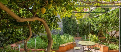 Een terras met een tafel en stoelen, omgeven door weelderige beplanting en een pergola.