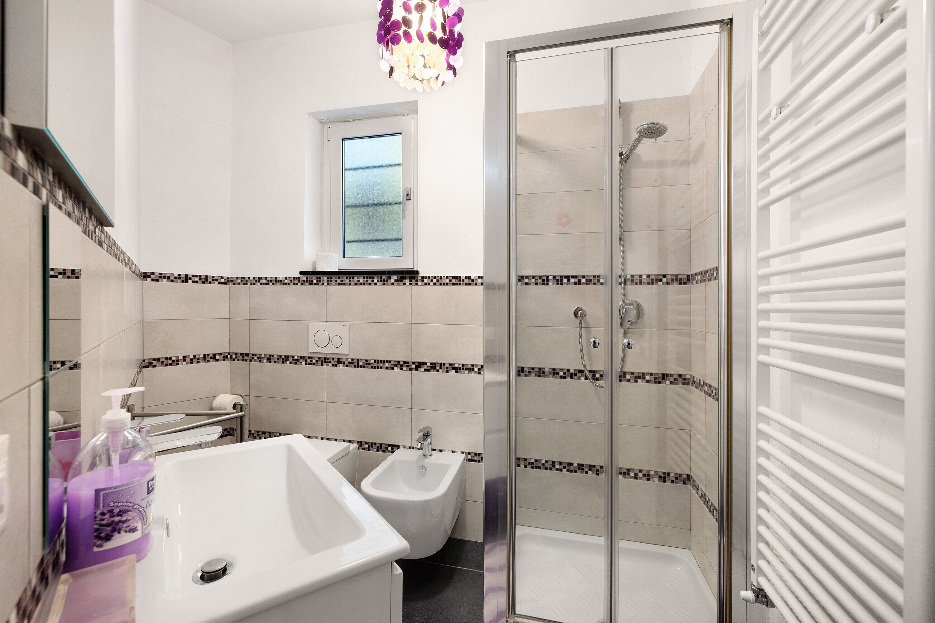 Shower, hair dryer, towels