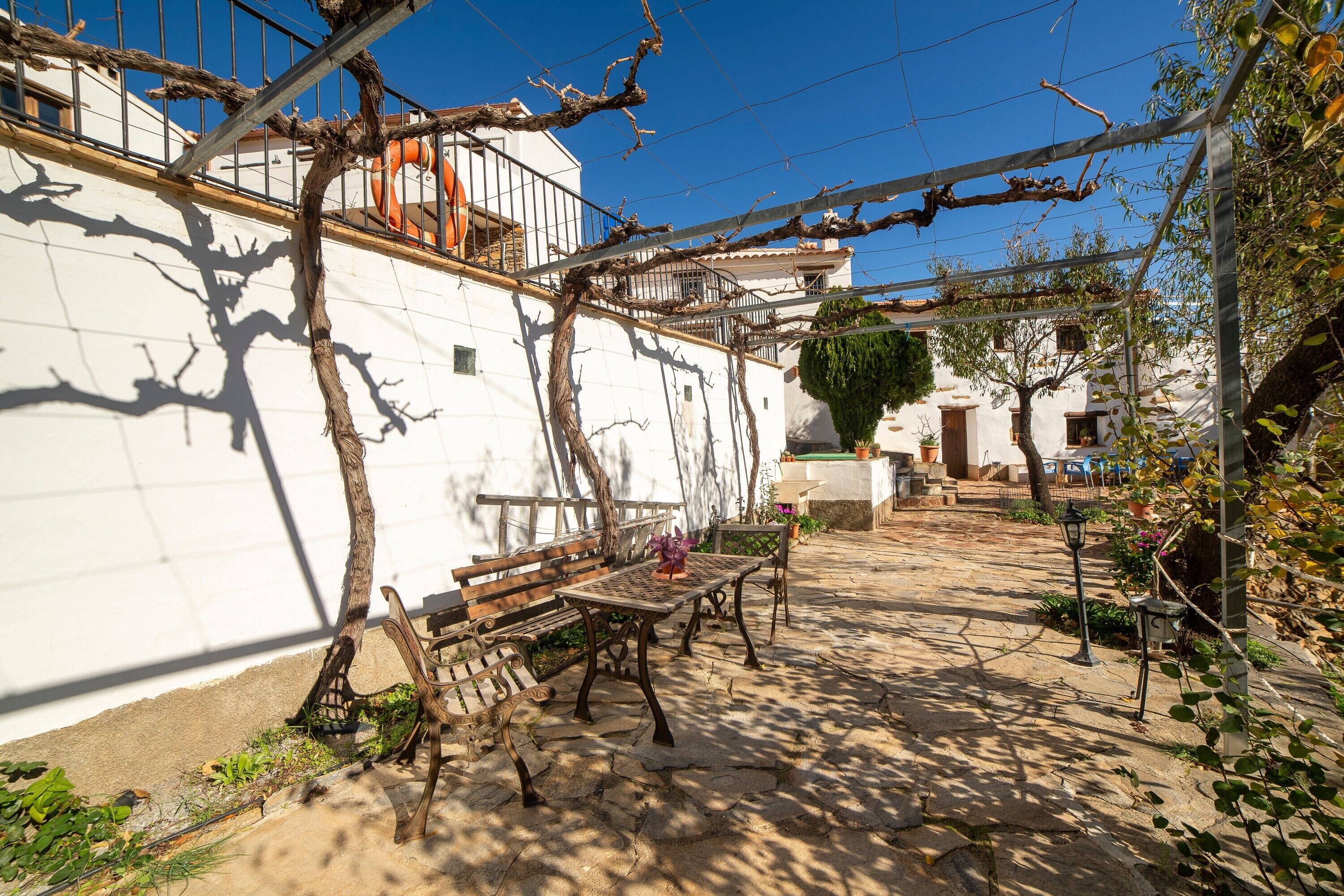 Une cour avec un banc, une table et une pergola couverte de plantes grimpantes.