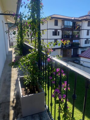 Un balcon orné d’un pot de fleurs, avec vue sur un immeuble d’habitation.