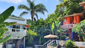 A swimming pool with a stone deck, surrounded by outdoor furniture and plants. - Villa Daniella - Beach Homes (Florianópolis)