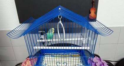 Basement in Agualva, Sintra