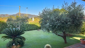 Un jardín bien cuidado con diversas plantas, un cactus y un árbol pequeño.