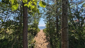 Un sentier sablonneux bordé d’arbres qui mène à un plan d’eau.