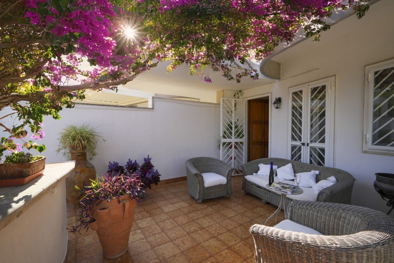 Terraza o patio