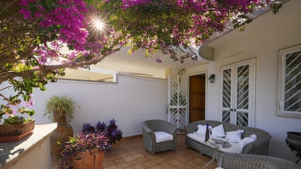 Un patio techado con mobiliario de mimbre, plantas en macetas y vistas al interior del edificio.