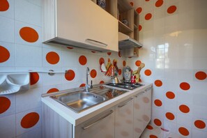 Fridge, oven, stovetop, cookware/dishes/utensils