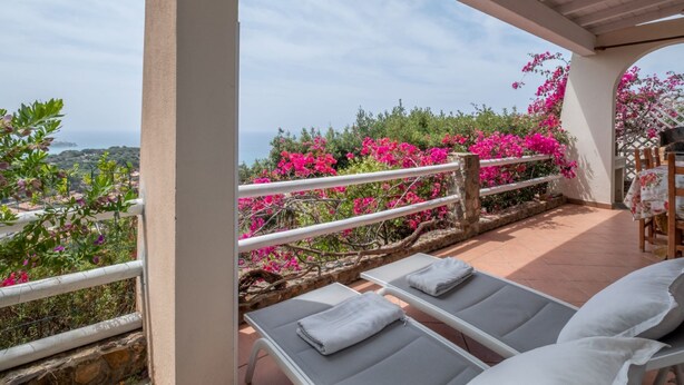 Ein überdachter Außenbereich mit weißen Geländern und Liegestühlen, mit Blick auf eine Landschaft mit rosa Blumen und Meerblick.