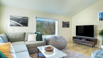 Smart TV, fireplace, books, stereo