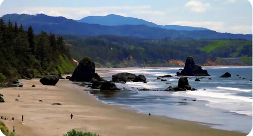 Charming Quiet custom cottage!
Ping Pong, Ninja Warrior setup!
Firepit, orchard!