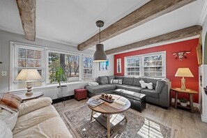 Smart TV, fireplace, books