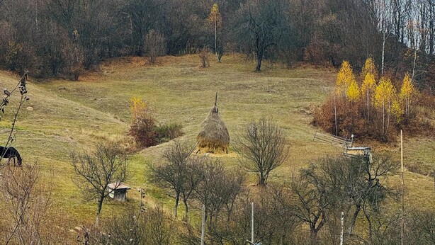 A rustic wooden cabin with a thatched roof, a wooden deck, and a picnic table. - Rai Villa (Banita)