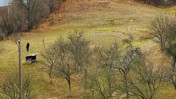 Vista desde la habitación