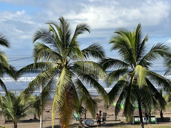En la playa, camastros y toallas de playa 
