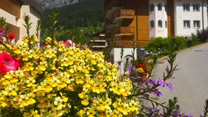 A mountain village with colorful flowers in the foreground, a building with a balcony, and a mountain backdrop.