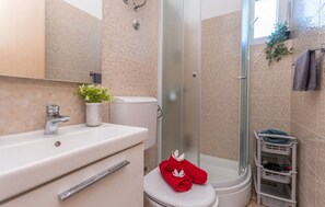 Shower, hair dryer, towels