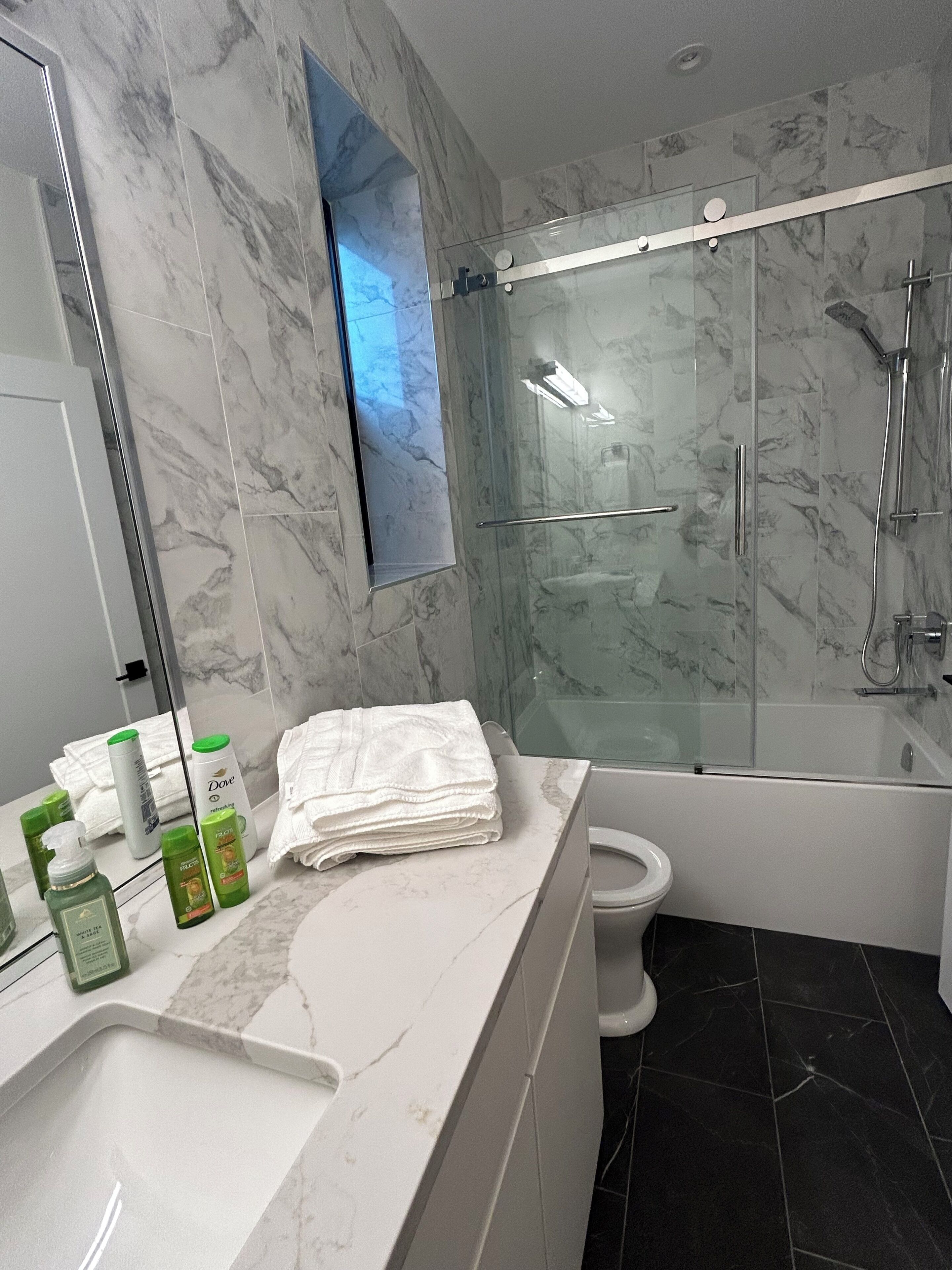 Hair dryer, towels, soap, shampoo