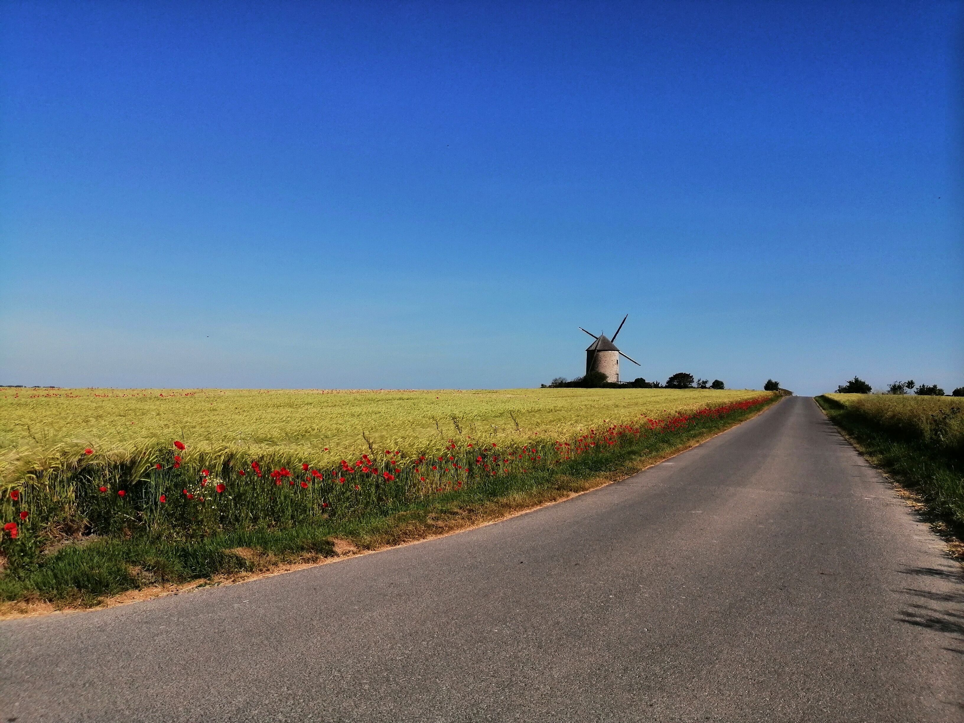 Un camí rural amb un molí de vent a la distància.