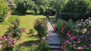 A garden pathway surrounded by vibrant flowers and greenery. - Le petit moulin rouge (Beauvoir)