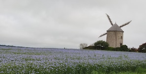 Ecotours - Le petit moulin rouge (Beauvoir)