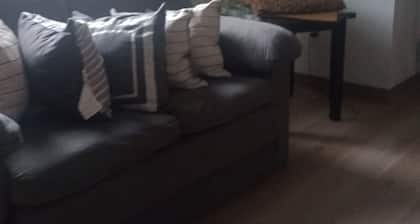 Charming 3-bedroom condo in pleasant Rochester with AC, WiFi. And very clear