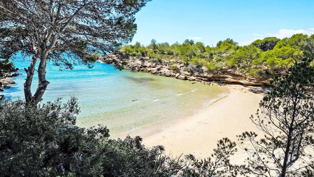 Ein Strand mit klarem türkisblauem Wasser, sandigem Ufer und umgebender Vegetation.