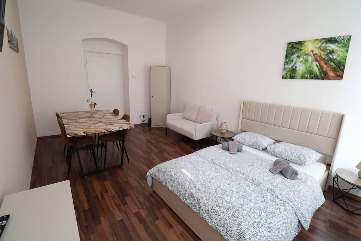 Classic Apartment, Kitchen | Living area | Flat-screen TV