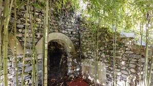 Une arche en pierre entourée de plantes de bambou.