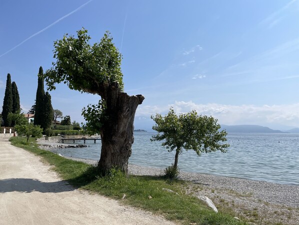 Plage à proximité