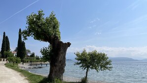 Un sendero junto al lago con un árbol y otro pequeño al borde del agua.